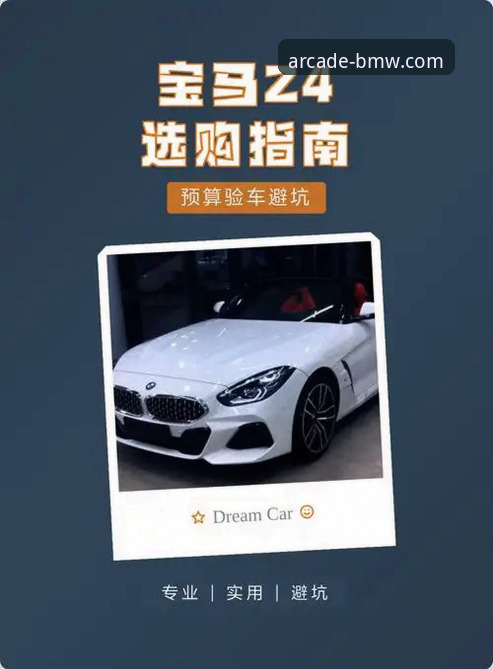 资深技术评测员分享：奔驰宝马电玩城安装教程实战心得与避坑指南